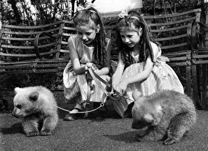 Twins Prints: Lucky eight-year-old twins Allison left and Angela Kerwin of Stanmore, Middx