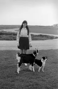 Goat Prints: Lucy the goat who thinks shes a dog. She is seen with seen with her mistress Joan