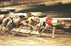Lydpal Frankie November 1998 leads out of the first bend from Lady Flyaway