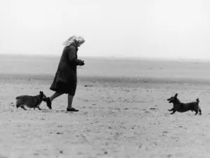 Photographer Prints: Her Majesty Queen Elizabeth II walking two of her corgis on the beach near Sandringham
