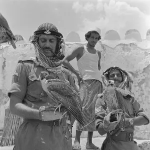 Middle East Prints: Major Tony Ricketts (pipe) who commands a squadron of Oman Scouts part of the Abu Dhabi