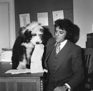 00689 Prints: One man (Bob) and his dog (William). William of Arethyn is no sleeping dog when it comes