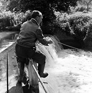 00559 Collection: A man fishing in the River Gade in Watford, Hertfordshire. 19th June 1954