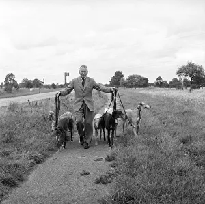 Man and Greyhounds: Frank Sanderson seen here at his St