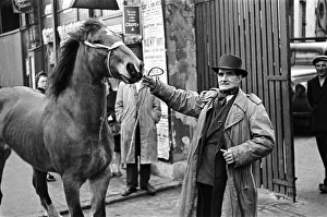 Auction Prints: A man with a horse, standing outside the site of a cart and van horse auction