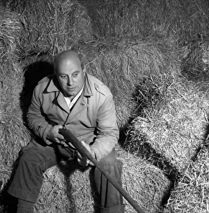 Hunter Prints: Man with Shotgun: Gerald Hall marksman seen here track down the Godalming Puma