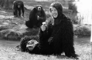 A man wearing an ape costume sitting amongst real monkeys eating an ice cream May