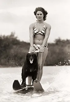 Mandy the Water Skiing dog with owner Ginny Venables at the Forest Lake Water Ski club in