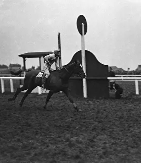 Master Robert ridden by Bob Trudgill and trained by Aubrey Hastings