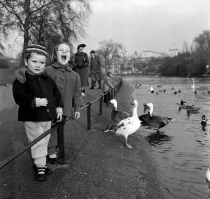 Ducks Prints: Matti Fastinen and his sister Mer-inkeri Fastinen seen here modelling childrens Finnish