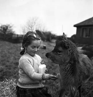 Maureen Milner (5) and her pet Bambi (six Months Old) baby deer of Boltby near Thirsk