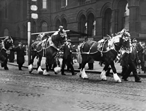 Albert Square Prints: May Day Parade. The first three prize winners in the Manchester Corporation Highways