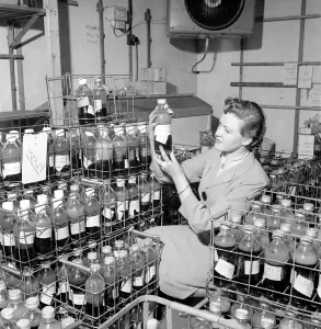 Doctors Prints: Medical: Blood Transfusions: Inspection at a blood bank. 1954 A2-001