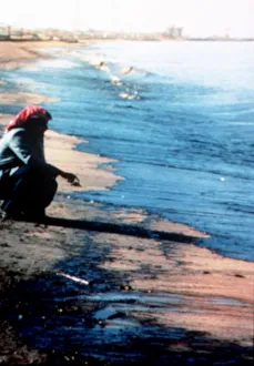 Pollution Prints: A member of the Saudi Environment Agency inspects the pollution along the gulf coast