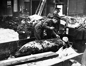 Members of the Bomb disposal squad measuring the length of a time delayed bomb taken