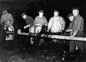 Fishermen Prints: Members of the crew of the Yarmouth drifter Noon Tide mend their nets after being forced