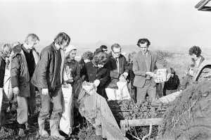 01215 Prints: Members of the public help to harvest a late season crow of potatoes, Teesside