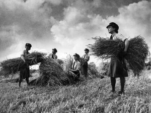 00113 Prints: Members of the W. A. A. Fs gathering in the countryside around Gloucester