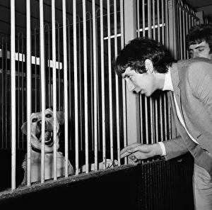 members of The Who rock group sent their managers to purchase a gurad dog at Battersea