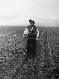 Crops Prints: Members of the Women Land Army (WLA) sowing seeds by the old fashioned Fiddle method in