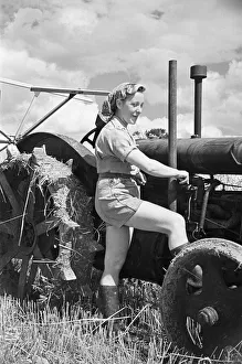 01179 Prints: Members of the Women Land Army (WLA) at work on a farm in Hertfordshire