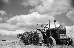 01179 Prints: Members of the Women Land Army (WLA) at work on a farm in Hertfordshire