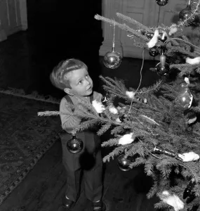Christmas Tree Prints: Michael Attenborough son of actor Richard Attenborough