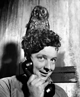 00147 Collection: Mick, the owl, listens to every phone call that comes to the Cardiff garage of Mr