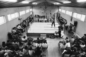 01379 Prints: Middleweight Champion Alan Minter training in Jersey ahead of his World Title fight