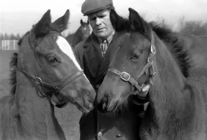 Million dollar trio trying out the fresh air of Newmarket in a paddock at Dunchurch Lodge