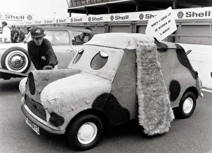 Mini Car Anniversary. 25, 000 Minis turned up at Silverstone to celebrates 30 years