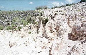 Island Prints: Mining of Nauru has turned the once lush land into a lunar landscape like place