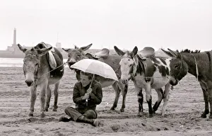 Core36 Prints: A Miserable day at Margate beach for the donkey rides owner who takes cover under an