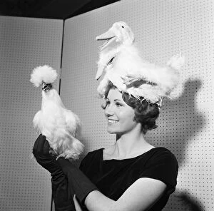 00302 Collection: Miss Carol wearing a hat in the shape of a ducks family at the Festival of Poultry