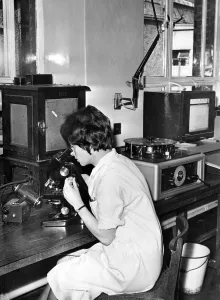Blood Prints: Miss Elspeth Knight examining a blood film at Haematology Department of the Cardiff Royal