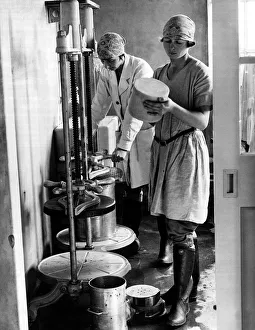 00176 Prints: Miss Enid Hallam a BSC (Agriculture) innoculates cheeses