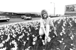 One Young Woman Only Prints: Miss Evening Chronicle Jacqui Failes among the daffodils on Scotswood Road