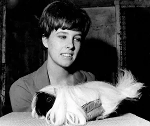 Miss Sandra Green age 20. with her Peruvian Guinea Pig dressesd in curlers