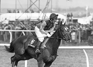 Horse Prints: Mister Frisk ridden by Marcus Armytage seen here before the start of the 1990 Grand