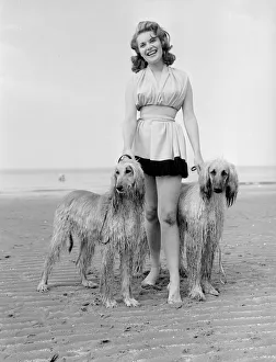 Exercise Prints: Model Belinda Lee seen here with here Afghan hounds on the beach at Cliftonville, Kent