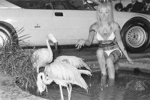 Model from the British Road Safety campaign poses in a bikini with flamingoes at the 1971