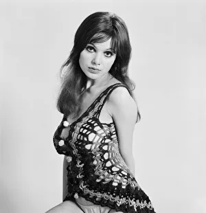 Model and horror film actress Madeline Smith poses in the studio. 25th March 1971