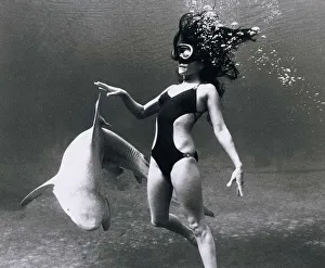 Weird Prints: Model Marty Worsham of Florida glides through the waters with a shark in silhouette