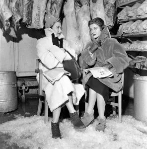 Two models sat in a cold room to test a new fur fabric (see left) at a London Hotel