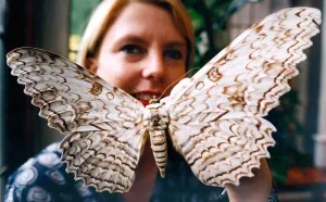 Morag Wood of the Natural History Museum with the Giant Agrippa Moth on show