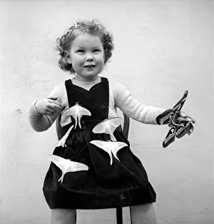 Moth girl: Miss Rivers seen here with moths. January 1957 A10-002