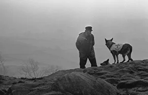Emergency Service Prints: Mountain Rescue Dog Team seen here high on the Cumbrian hills. Circa 1975