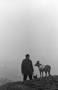 Mountain Rescue Dog Team seen here high on the Cumbrian hills. Circa 1975