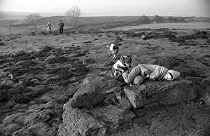 00047 Prints: Mountain Rescue Dogs Two of the Cumbrian mountain rescue dogs seen here completing