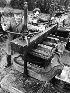 Apples Prints: Mr Frank Harris and his son John, working the cider press at Church Lench. December 1974
